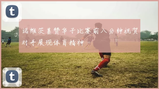 诺维茨基赞华子比赛前八分钟祝贺对手展现体育精神