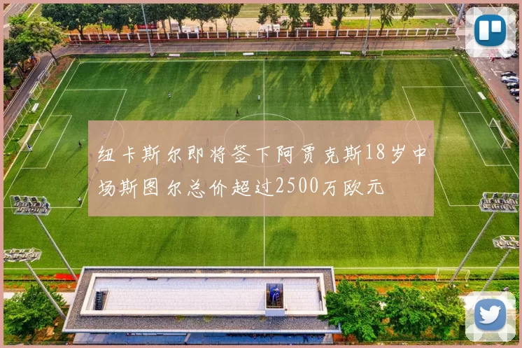 纽卡斯尔即将签下阿贾克斯18岁中场斯图尔总价超过2500万欧元